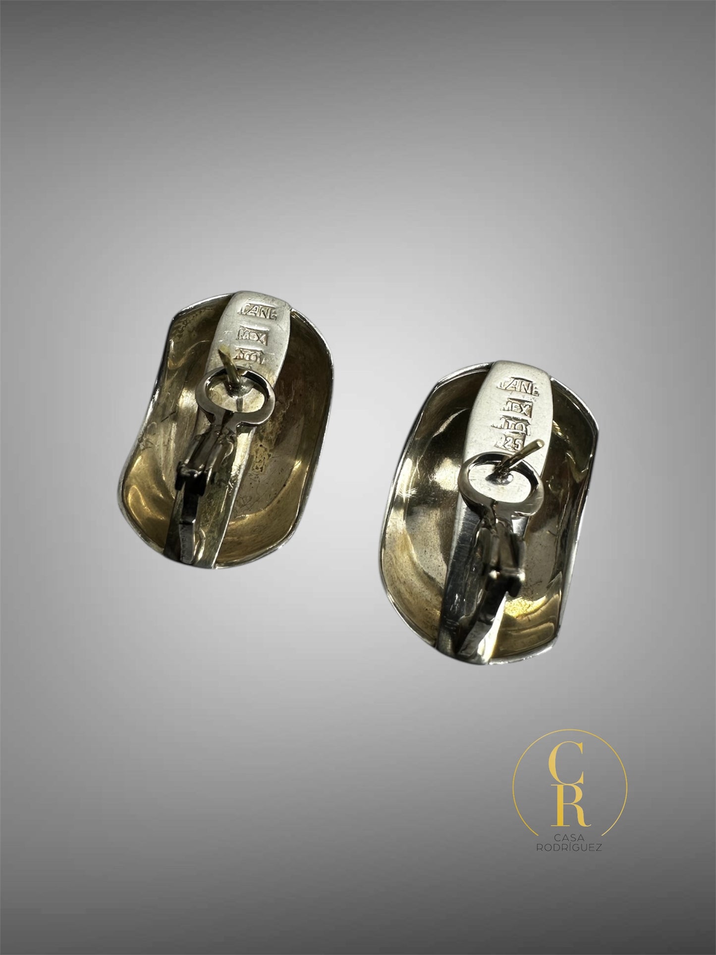 Aretes Tane Media Esfera