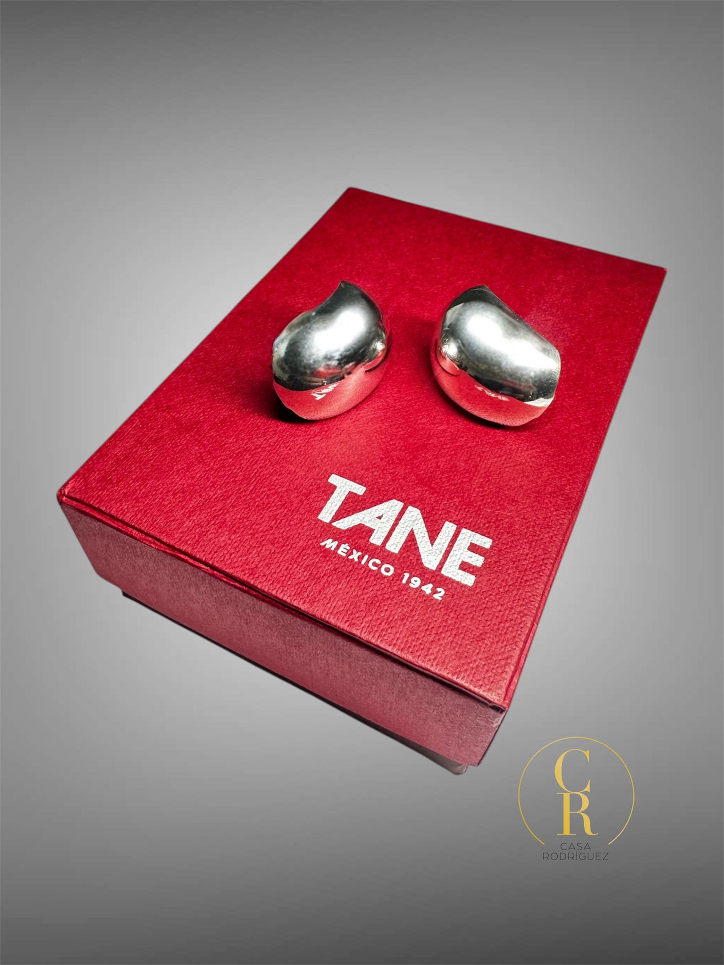 Aretes Tane Media Esfera