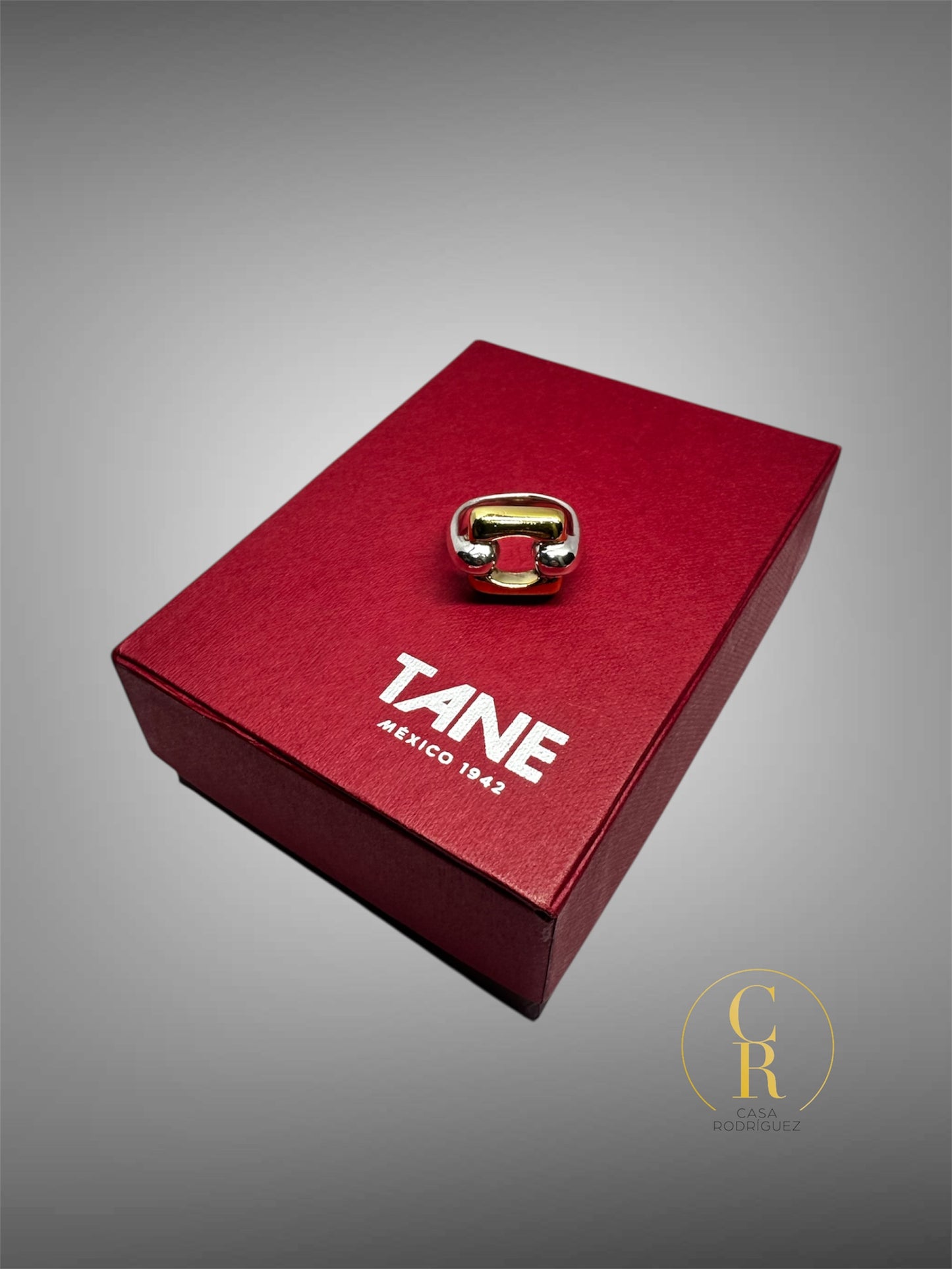 Anillo Tane Cuadro Vermeil