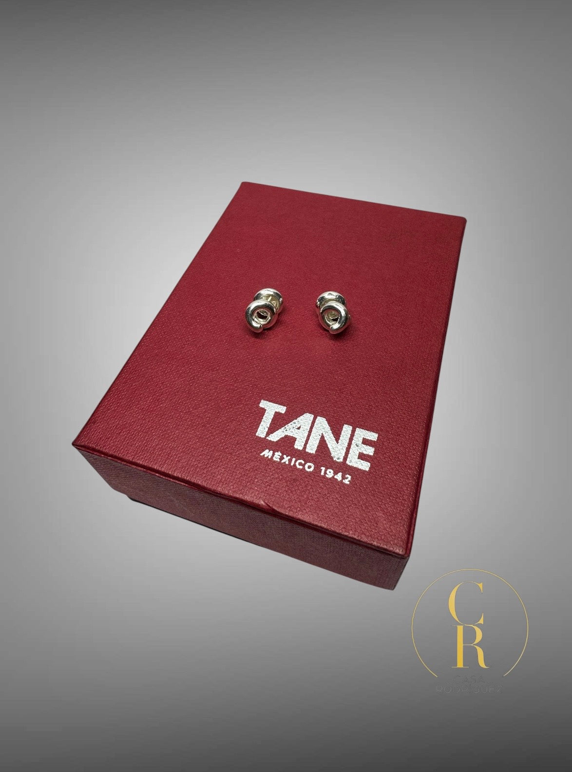 Aretes Tane Espiral
