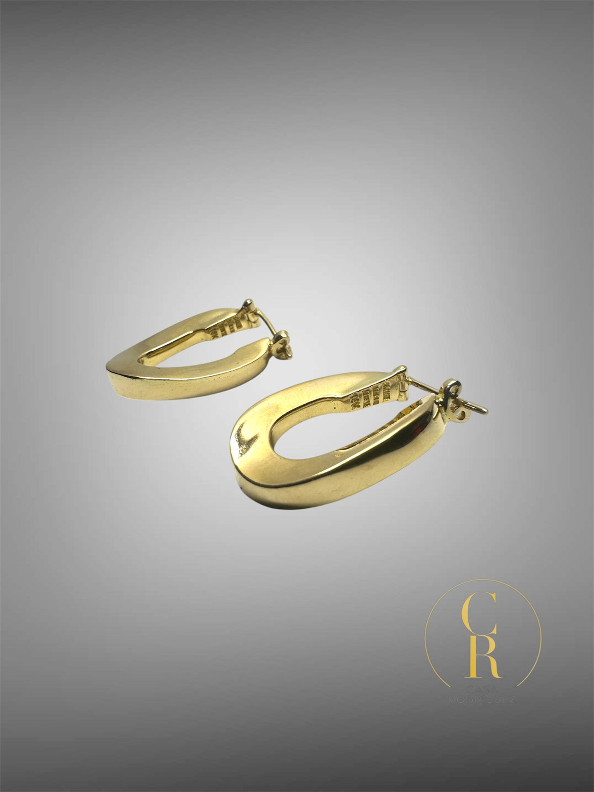 Aretes Tane Media Luna