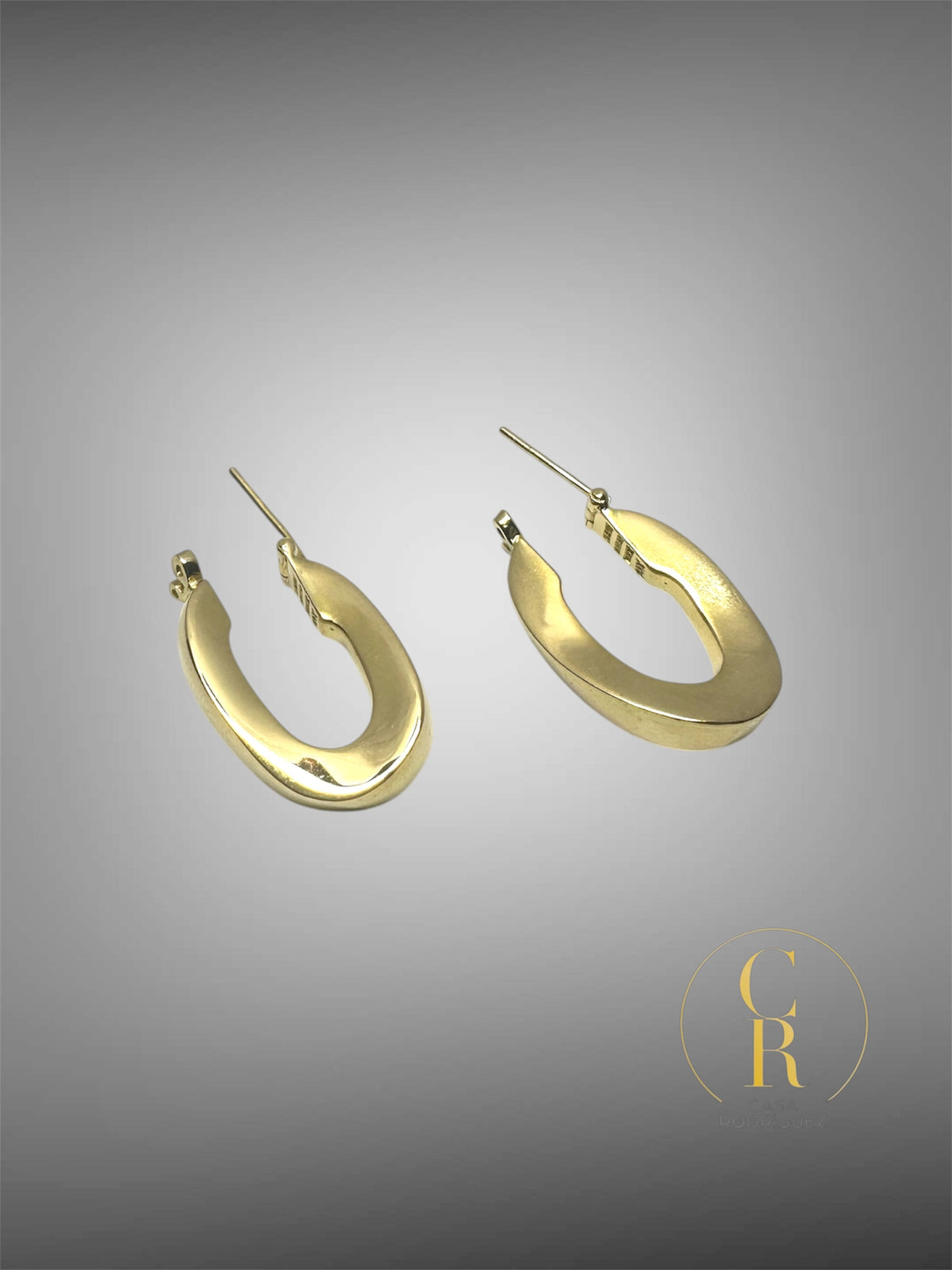 Aretes Tane Media Luna