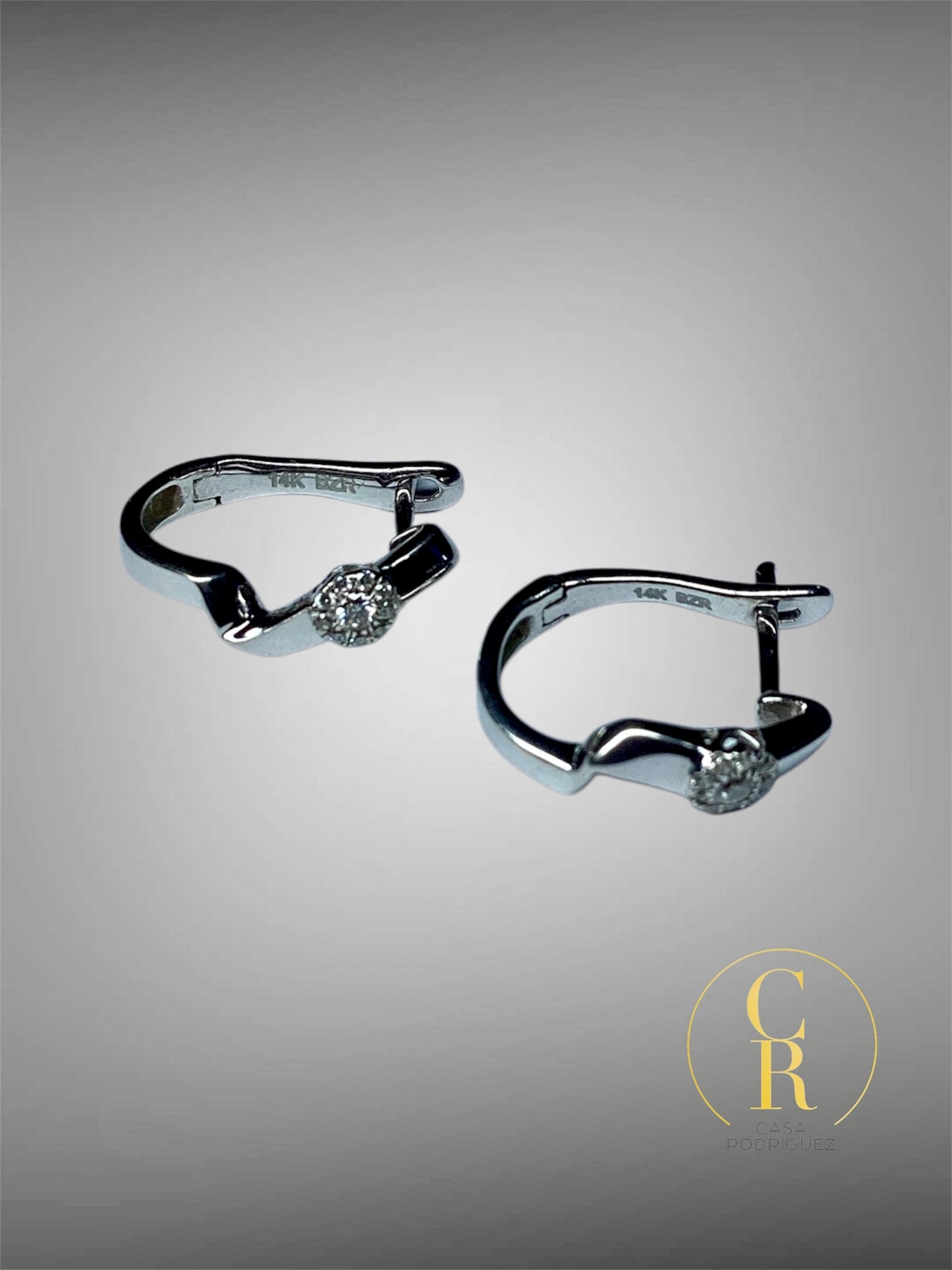 Aretes Bizzarro Oro 14k y Diamantes